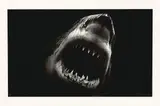 Robert Longo, Bruce, 2014, Pigmentdruck auf Papier