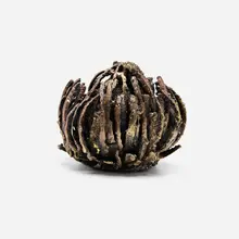 James Bearden, Anemone form, 2022, plasma-carved bronze