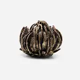 James Bearden, Anemone form, 2022, plasma-carved bronze