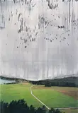 Ohne Titel (16.10. 2008) by Gerhard Richter, 2008, C-Print auf Fujicolor Professional-Papier, sold May 2014