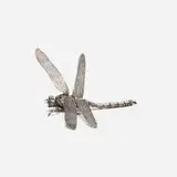 Oleg Konstantinov, Articulated dragonfly figure, sterling silver