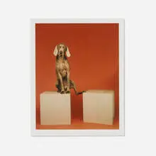 William Wegman, Connector, 2001, lithograph in colors