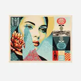 Shepard Fairey, Harmonius Elements