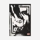 Shepard Fairey, Ripped