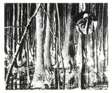 David Wojnarowicz, Aus: „Sex Series (for Marion Scemama), 1989, Silbergelatineabzug