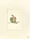 Thomas Schütte, HCH (Apfel), 1984, Aquarell und Buntstift auf Papier