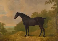 John Boultbee, A Bay Hunter in a Landscape, oil on canvas