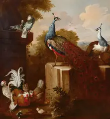 Pieter Casteels III, A peacock, peahen, and domestic birds in an Italianate landscape, oil on canvas