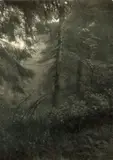 Josef Sudek, Ohne Titel (Wald)