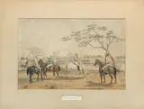 Percy Carpenter, Hog Hunting in Lower Bengal: The Meet, The Beat, The Charge, The Hog at Bay  by Edmund Walker, published W. Thacker, 1861, lithographs