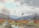 John Cyril Harrison, Snipe at Invershin