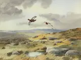 Robert W. Milliken, Grouse in Flight
