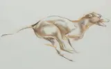 John Rattenbury Skeaping R.A., The Greyhound, pastel