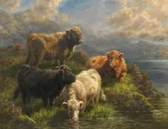 C.E.Watson, Highland calves - on the banks of Loch Tay, and another similar (2)