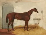 Harry Hall, A pair of portraits featuring horses Cossack and Van Tromp, oil on canvas