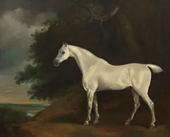 David, Landscape with grey horse, oil on canvas