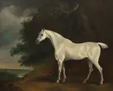 David, Landscape with grey horse, oil on canvas