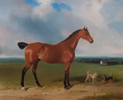 William Barraud, A Bay Hunter and Terriers, oil on canvas