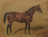 George Paice, Palaver Racehorse