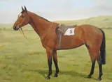 F. M. Hollams, Portrait of a bay horse tacked up in a landscape