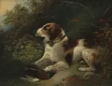 Edward Armfield, A dog with a pheasant, oil on board