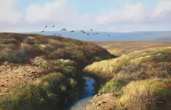 Rodger McPhail, Grouse in Flight, oil on canvas