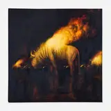 Martin Wittfooth, Night Lights, 2012, oil on canvas