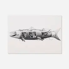 Phlegm, Salmon, c. 2012, ink on paper