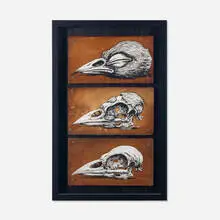 ROA, Decaying Bird Head, acrylic on found wood triptych mounted to panel