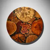 Philip Moulthrop, Arboreal Mosaic Platter, 2008, hackberry, plum, red maple, persimmon, mulberry, red burl, western red cedar, mahonia