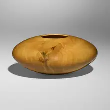 Matt Moulthrop, Holly Ellipsoid, 2008, holly