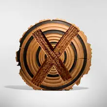 Todd Hoyer, Untitled from the Disc series, c. 1997, carved, burnt and bleached ash