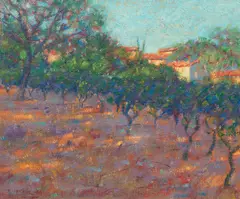 John Mackie, Vineyard at Canet Village