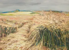 Perpetua Pope, Cornfield