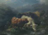 C.E.Watson, Highland calves, Loch Restil