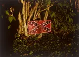 Untitled (Rebel Flag License Plate on Tree) by William Eggleston, 1973, Dye-Transfer-Abzug, 1996, sold Nov 2019