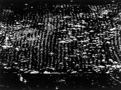 Schwarzwaldhang by Otto Steinert, 1956, Silbergelatineabzug. Negativabzug, sold Jul 2020