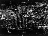 Otto Steinert, Schwarzwaldhang, 1956, Silbergelatineabzug. Negativabzug