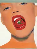 Eberhard Havekost, Beauty