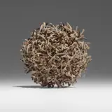 Claire Falkenstein, Untitled (Point as Set), c. 1970, copper