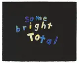 Roni Horn, Some bright Total