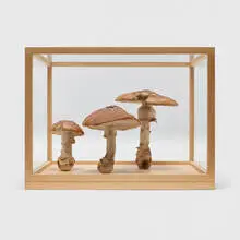 Roxy Paine, Group #9, 2006, thermoset polymer, oil, epoxy, wood, glass, stainless steel