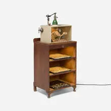 Ron Pippin, Cat Box #1 Assemblage, 2005, wood, bone, metal, glass, found object assemblage