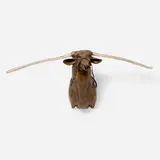 Ron Pippin, Untitled (Deer), paint, foam, wood, textile, leather