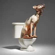 Vintage, Dog on a salesman sample toilet, taxidermy, steel, leather, durock, wood