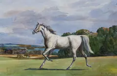 Portrait of a grey horse by Charles Walter Simpson, watercolour, offered May 2018