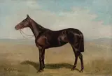 Margaret Collyer, La Fleche, oil on canvas
