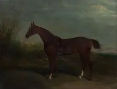David Dalby, Portrait of a chesnut horse with docked tail, oil on canvas