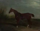 David Dalby, Portrait of a chesnut horse with docked tail, oil on canvas
