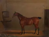 David Dalby, Portrait of a chestnut horse in a stable with an initialled horse blanket G F H, oil on canvas